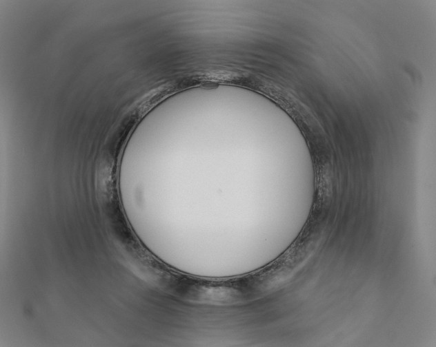 X0000112080360200909011048