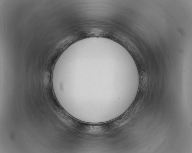 X0000112080361200909011048