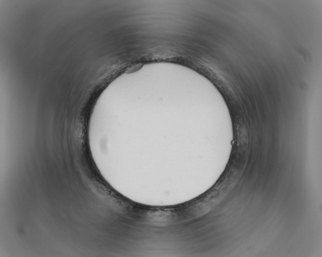 X0000112080362200909011048