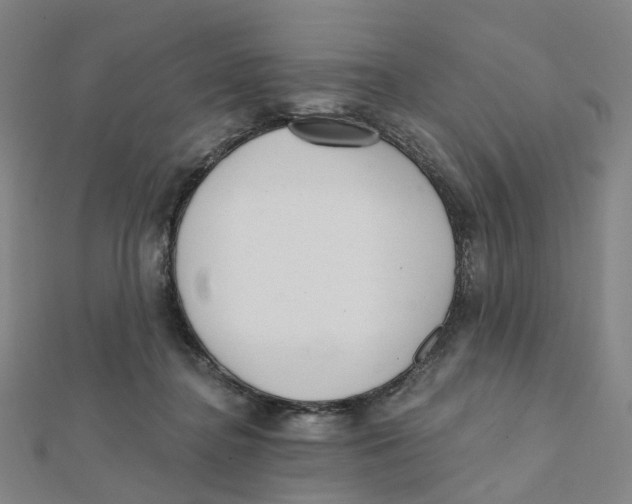 X0000112080364200909011048