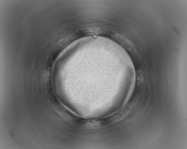 X0000112080369200909011048