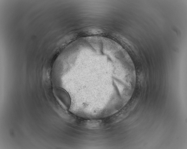 X0000112080373200909011049