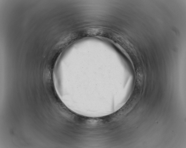 X0000112080375200909011049