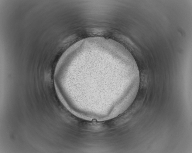 X0000112080377200909011049