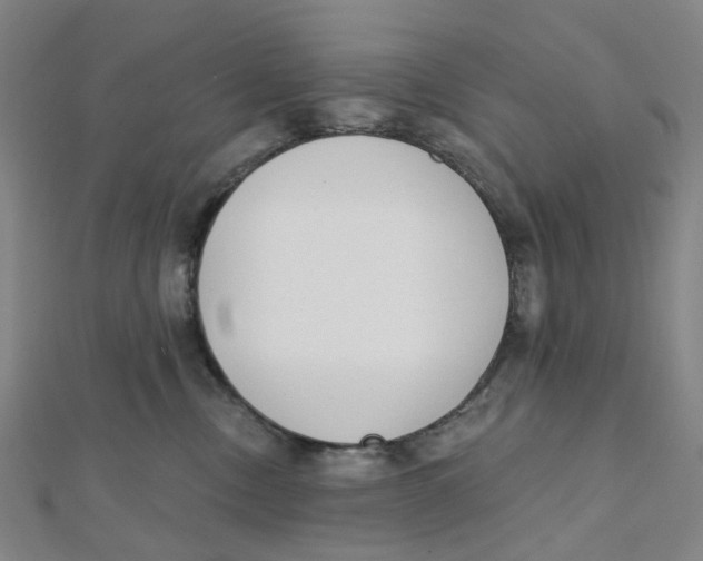 X0000112080378200909011049