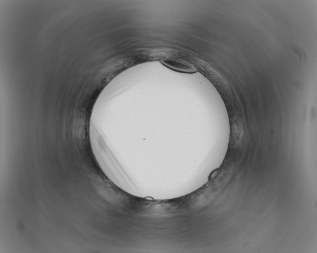 X0000112080379200909011049