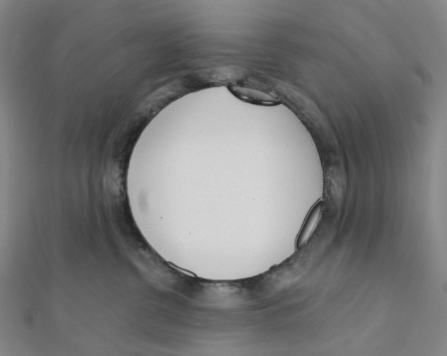 X0000112080380200909011049
