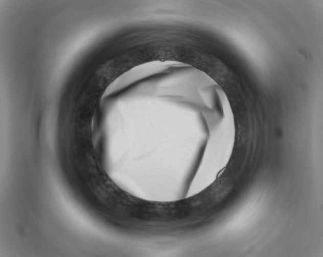 X0000112080383200909011049