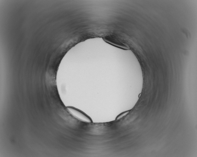 X0000112080384200909011049