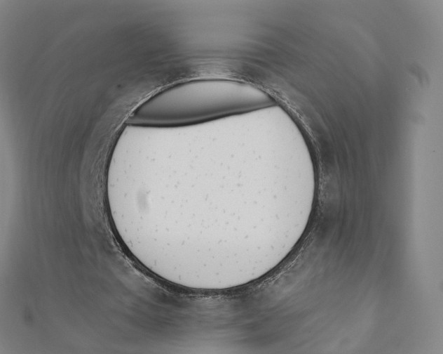 X0000112080385200909011048