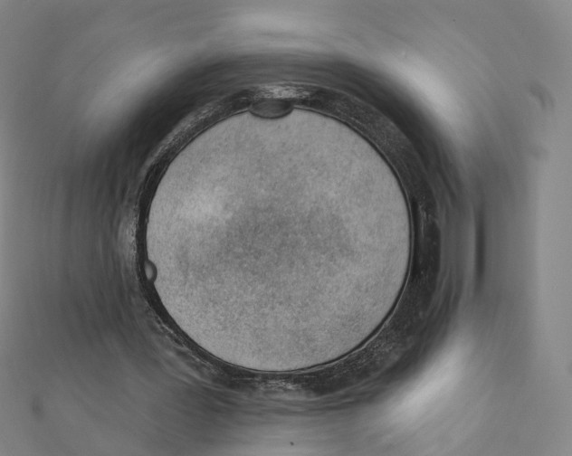 X0000112080387200909011048