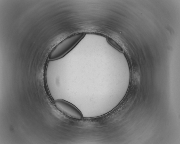 X0000112080389200909011048