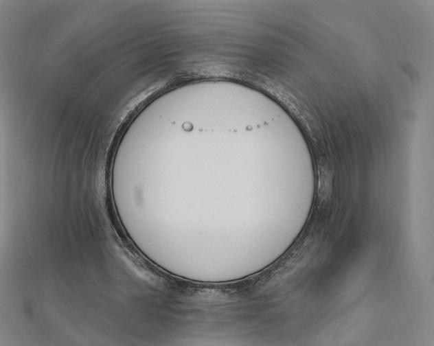 X0000112080390200909011048