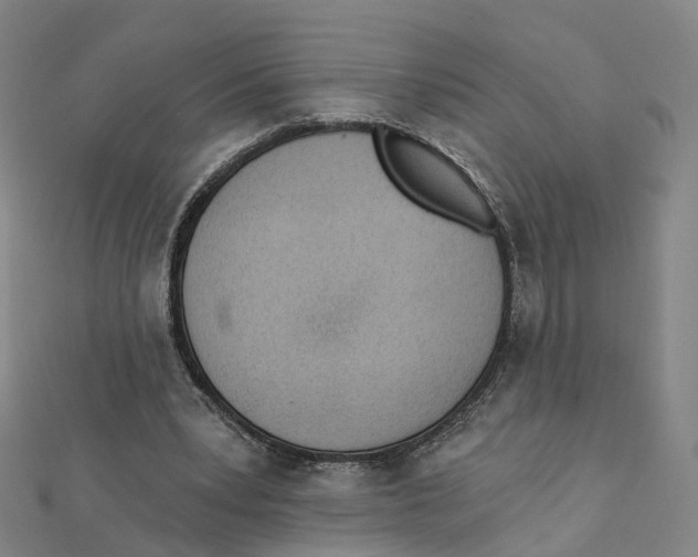 X0000112080391200909011048