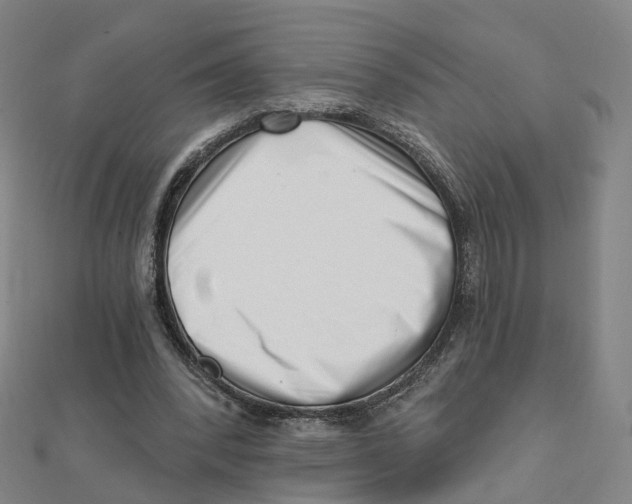 X0000112080392200909011048
