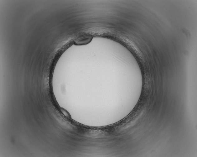 X0000112080399200909011048