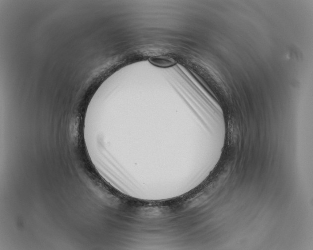 X0000112080404200909011048