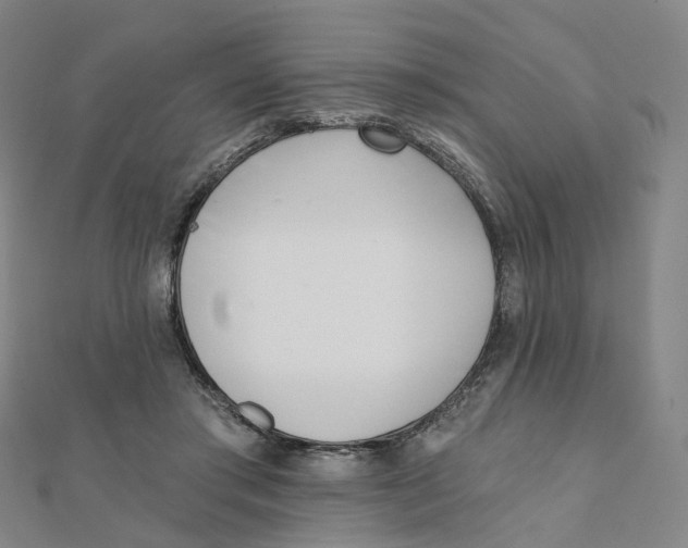 X0000112080405200909011048