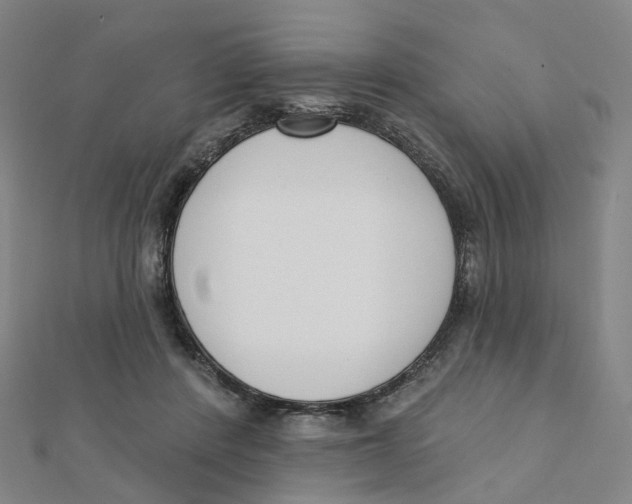 X0000112080408200909011048