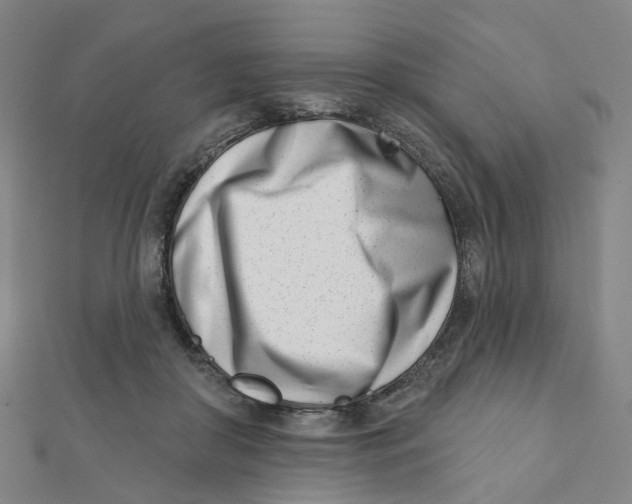 X0000112080410200909011048