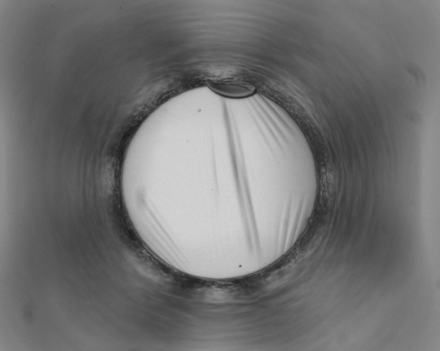 X0000112080412200909011048