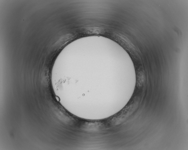 X0000112080414200909011048
