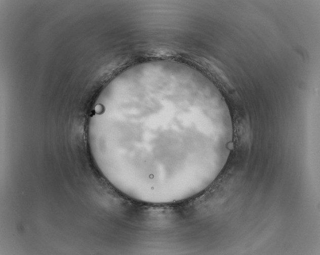 X0000112080415200909011048