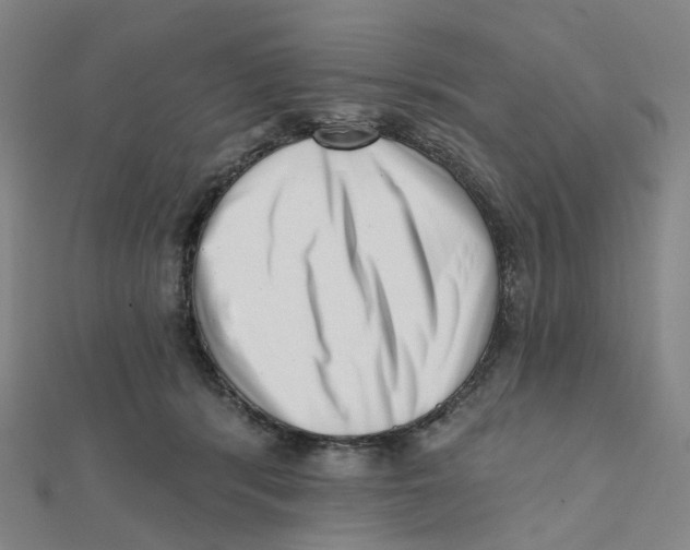 X0000112080416200909011048