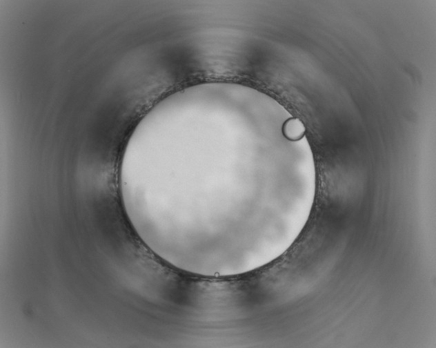 X0000112080419200909011048