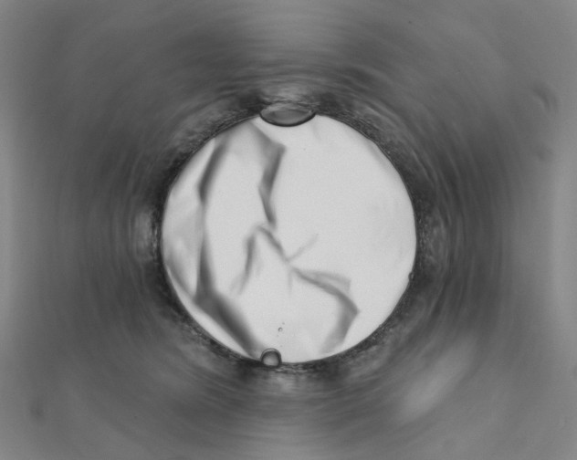 X0000112080420200909011048