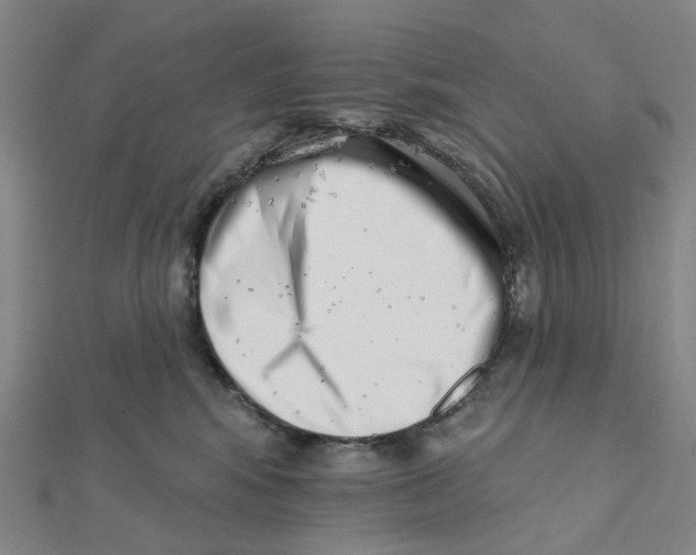X0000112080424200909011048