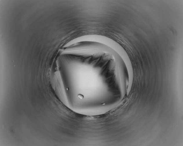 X0000112080425200909011048