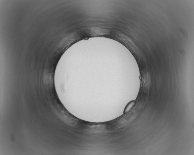 X0000112080426200909011048
