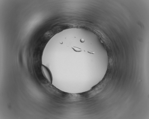 X0000112080429200909011047