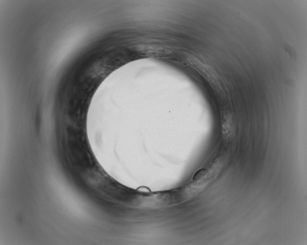 X0000112080430200909011047