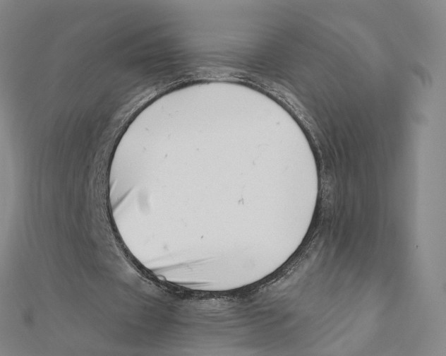 X0000112080433200909011047