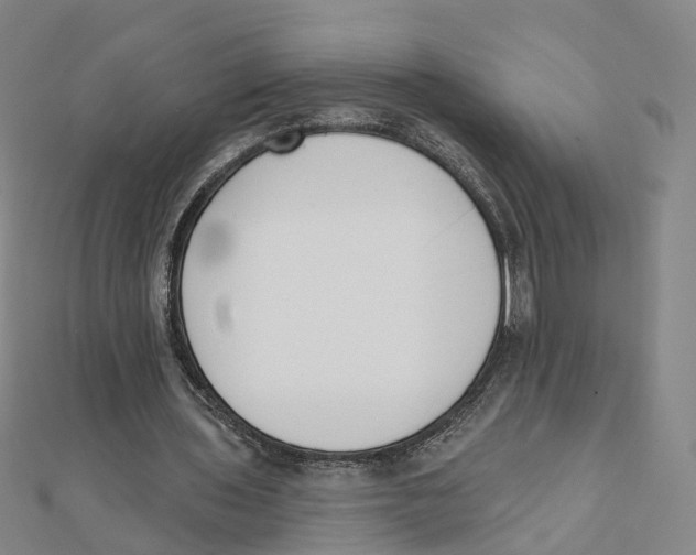 X0000112080435200909011047