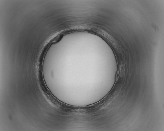 X0000112080436200909011047