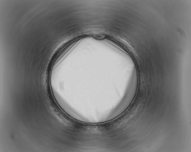 X0000112080439200909011047