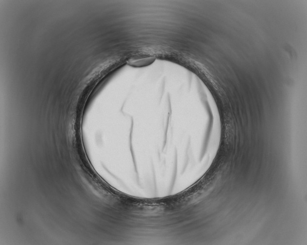X0000112080443200909011047