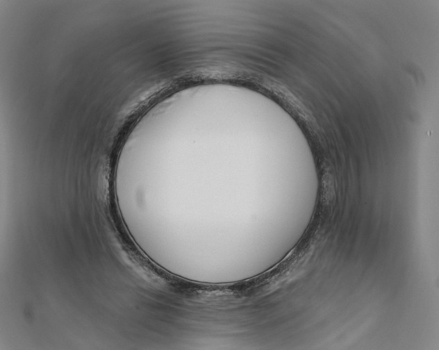 X0000112080446200909011047