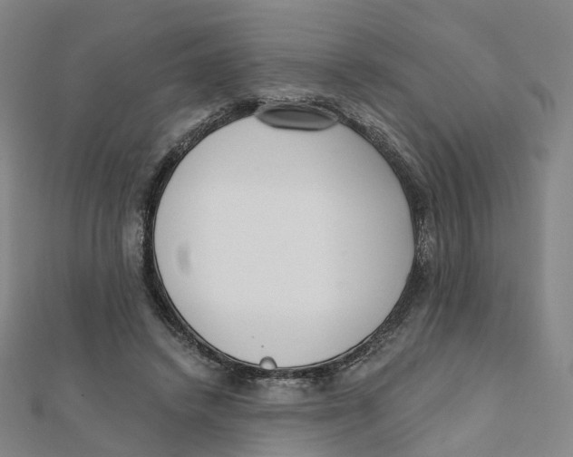 X0000112080448200909011047