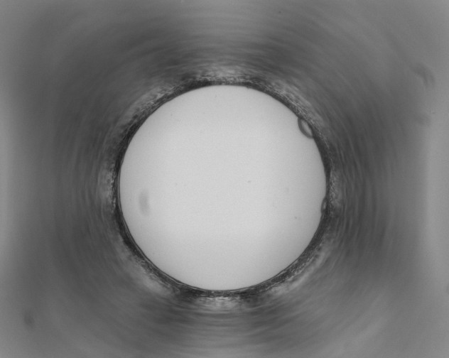 X0000112080449200909011047