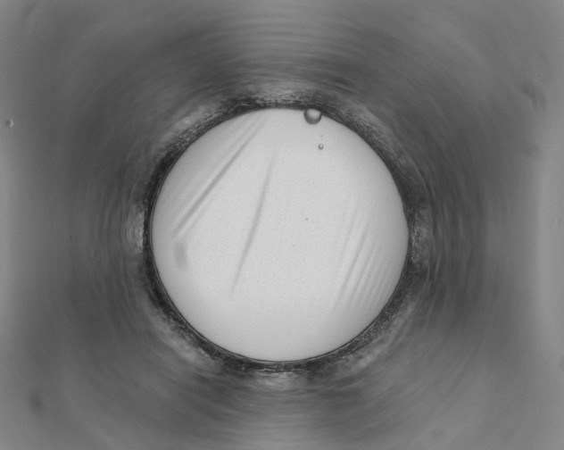 X0000112080454200909011047