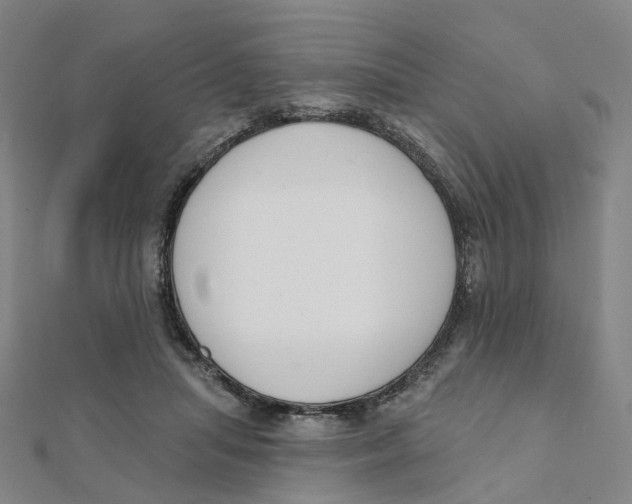 X0000112080455200909011047