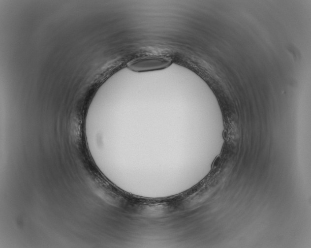 X0000112080456200909011047