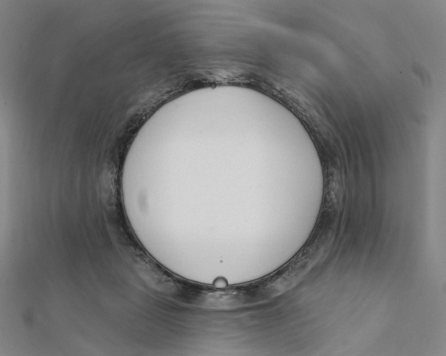 X0000112080461200909011047
