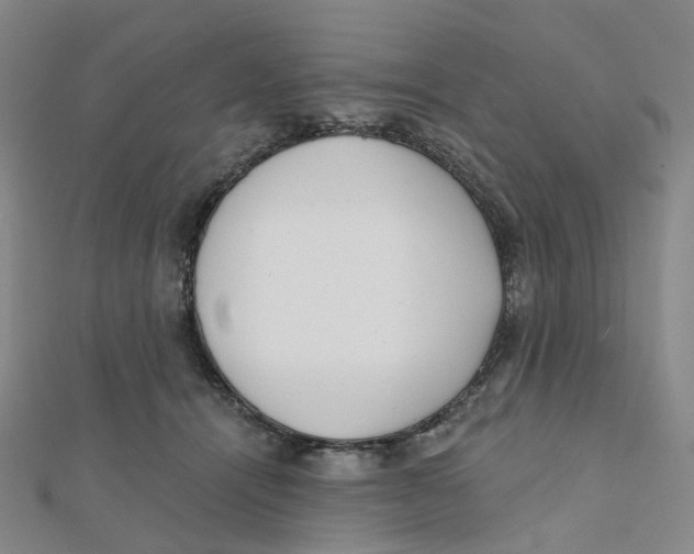 X0000112080464200909011047