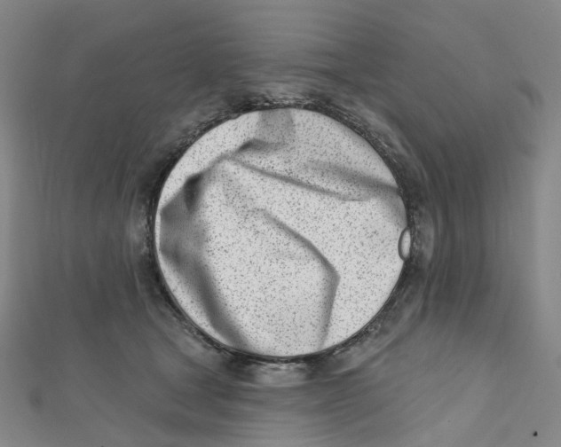 X0000112080465200909011047