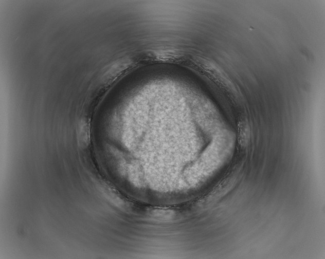 X0000112080471200909011047